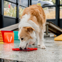 Load image into Gallery viewer, Buzzy Bee cat/dog lick mat
